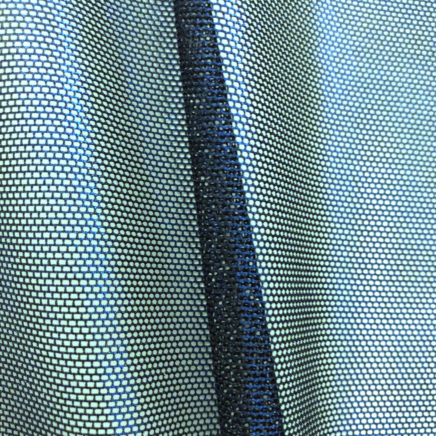 Metallic Mesh Catsuit