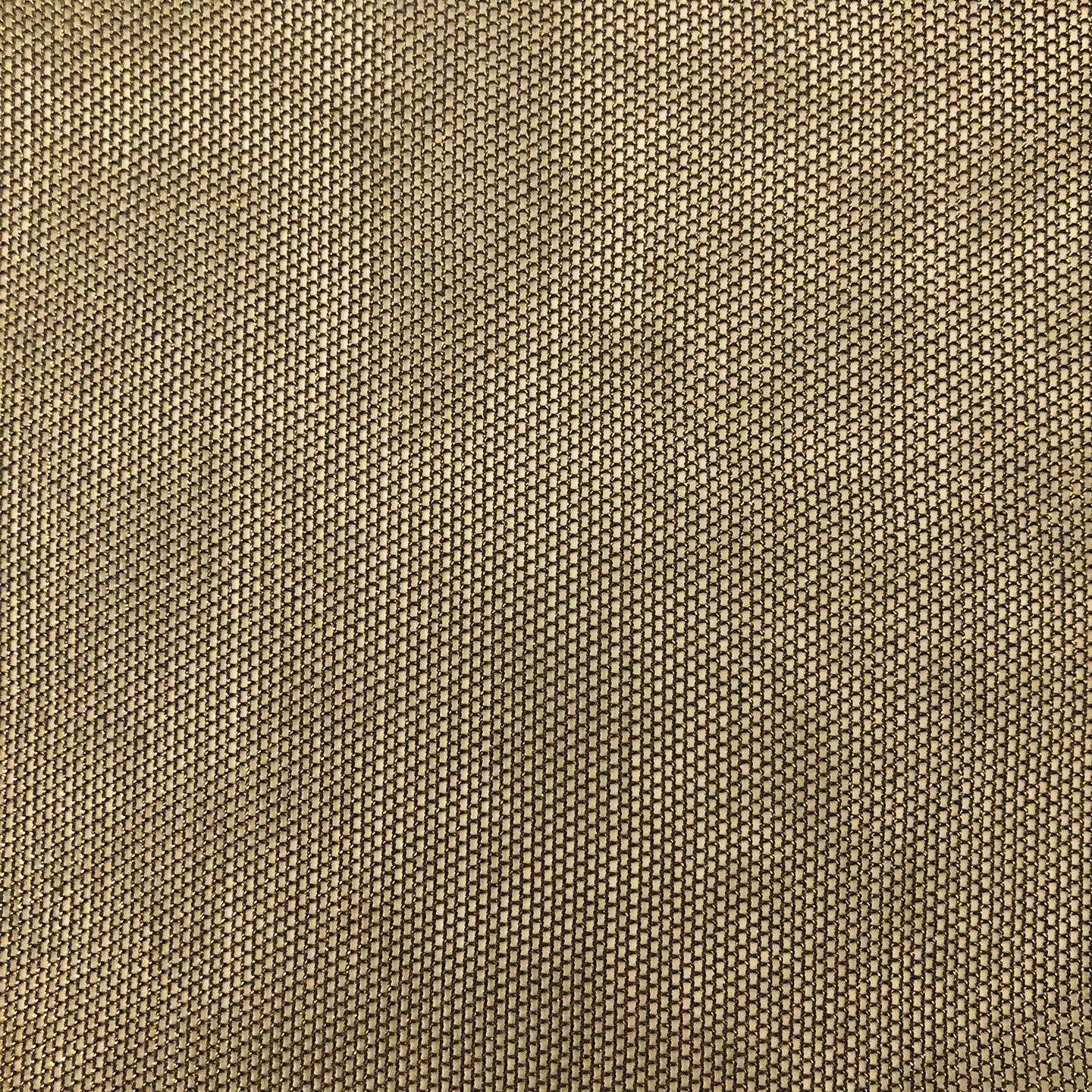 Metallic Mesh Catsuit